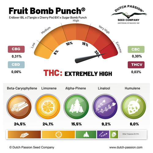 Fruit Bomb Punch terpenes
